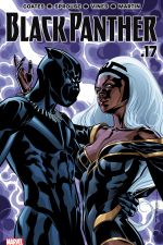 Black Panther (2016) #17 cover