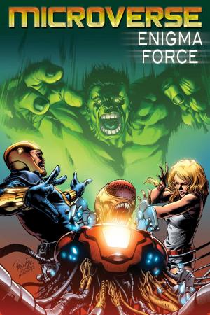INCREDIBLE HULK ENIGMA FORCE #1-3 NEAR MINT COMPLETE SET 2010 