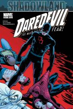 Daredevil (1998) #511 cover