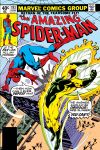Amazing Spider-Man (1963) #193