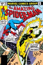 The Amazing Spider-Man (1963) #193 cover