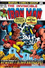 Iron Man (1968) #55 cover