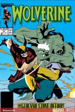 Wolverine (1988) #14 cover