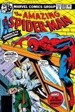 The Amazing Spider-Man (1963) #189 cover