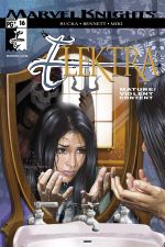 Elektra (2001) #16 cover