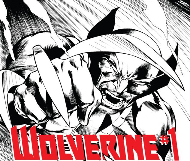 cover from Wolverine (2013) #1 (DAVIS SKETCH VARIANT)