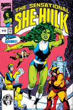Sensational She-Hulk (1989) #12 cover