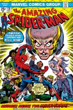 The Amazing Spider-Man (1963) #138 cover