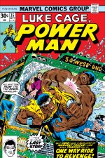 Power Man (1974) #35 cover