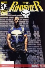 Punisher (2000) #11 cover
