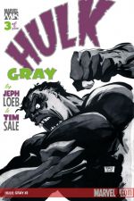 Hulk: Gray (2003) #3 cover