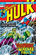 Incredible Hulk (1962) #160 cover