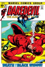 Daredevil (1964) #81 cover