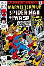 Marvel Team-Up (1972) #60 cover
