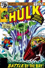 Incredible Hulk (1962) #233 cover