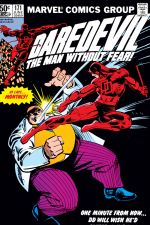 Daredevil (1964) #171 cover