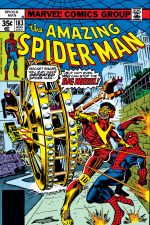 The Amazing Spider-Man (1963) #183 cover