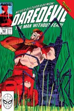 Daredevil (1964) #262 cover