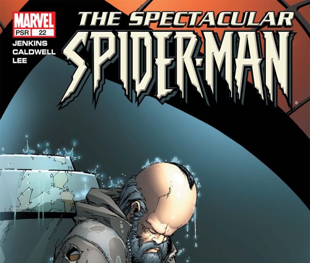 Spectacular Spider-Man (2003) #22
