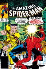 The Amazing Spider-Man (1963) #246 cover