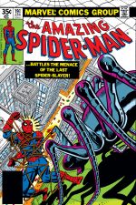 The Amazing Spider-Man (1963) #191 cover
