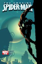 Amazing Spider-Man (1999) #521 cover