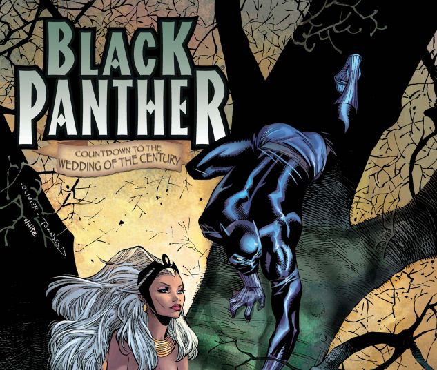 Black Panther (2005) #16 Cover