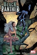 Black Panther (2005) #16 cover