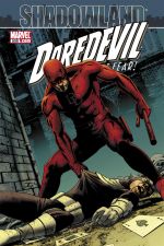 Daredevil (1998) #508 cover