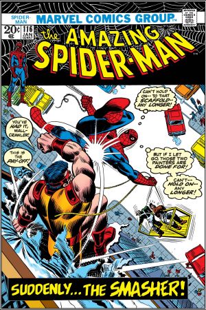 The Amazing Spider-Man (1963) #116