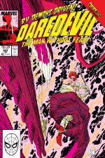 Daredevil (1964) #263 cover