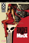 Punishermax (2010) #18 cover