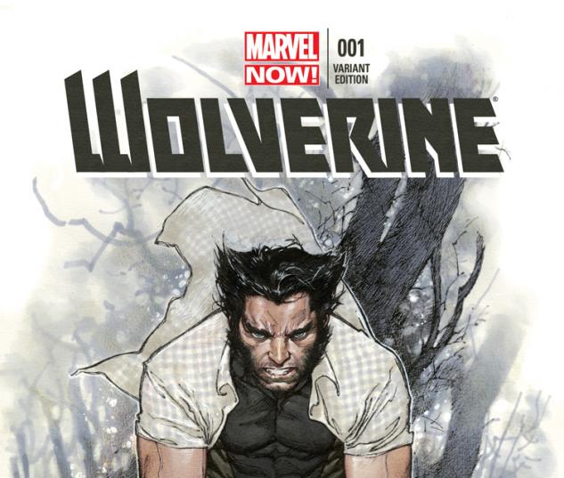 cover from Wolverine (2013) #1 (Coipel Variant)
