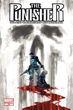 The Punisher (2011) #16 cover