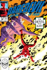 Daredevil (1964) #266 cover