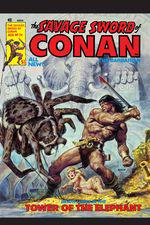 The Savage Sword of Conan (1974) #24 cover