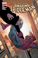 Amazing Spider-Man (1999) #675 cover