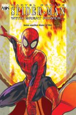 Spider-Man: With Great Power... (2008) #3 cover