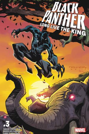Black Panther - Long Live the King (2017) #3 Black Panther - Long Live the King (2017) #3