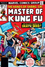 Master of Kung Fu (1974) #45 cover