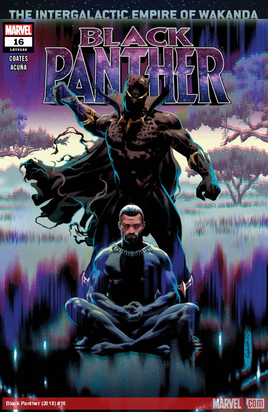 Black Panther (2018) #16