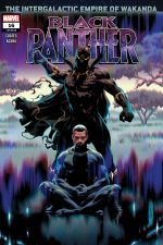Black Panther (2018) #16 cover