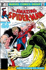 The Amazing Spider-Man (1963) #217 cover