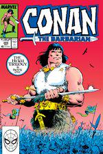 Conan the Barbarian (1970) #206 cover