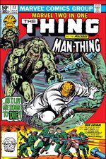 Marvel Two-in-One (1974) #77 cover