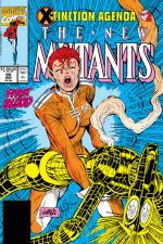 New Mutants (1983) #95 cover