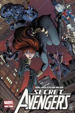 Secret Avengers (2010) #29 cover
