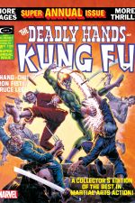 Deadly Hands of Kung Fu (1974) #15 cover