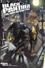 Black Panther: The Man Without Fear (2010) #513 cover