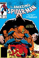 The Amazing Spider-Man (1963) #249 cover